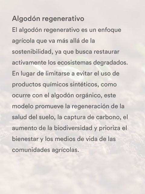 Utilice para ver más_1