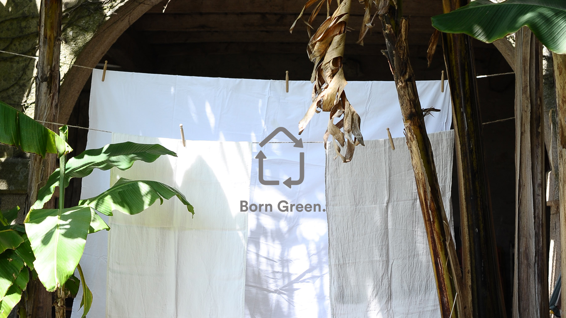 Born Green video showcasing sustainability and green innovation initiatives.