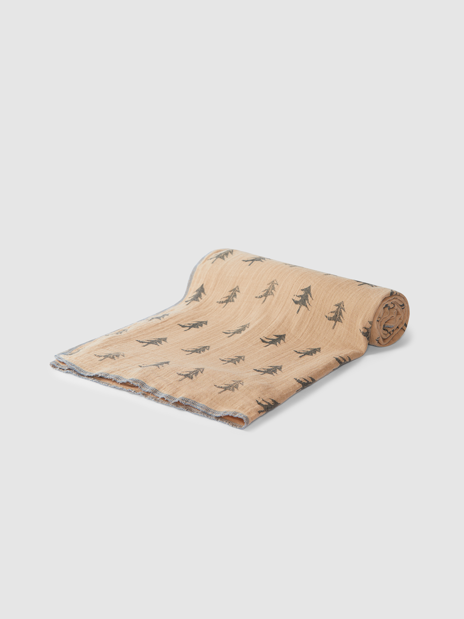 Pine trees swaddle in muslin