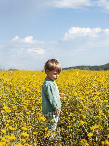 Pantalón pull-up cuadros Pantalón pull-up cuadros