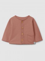 Terracotta