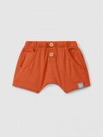 Warm Orange