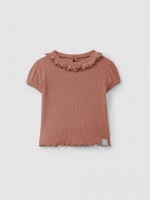 Terracotta