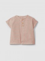 Terracotta