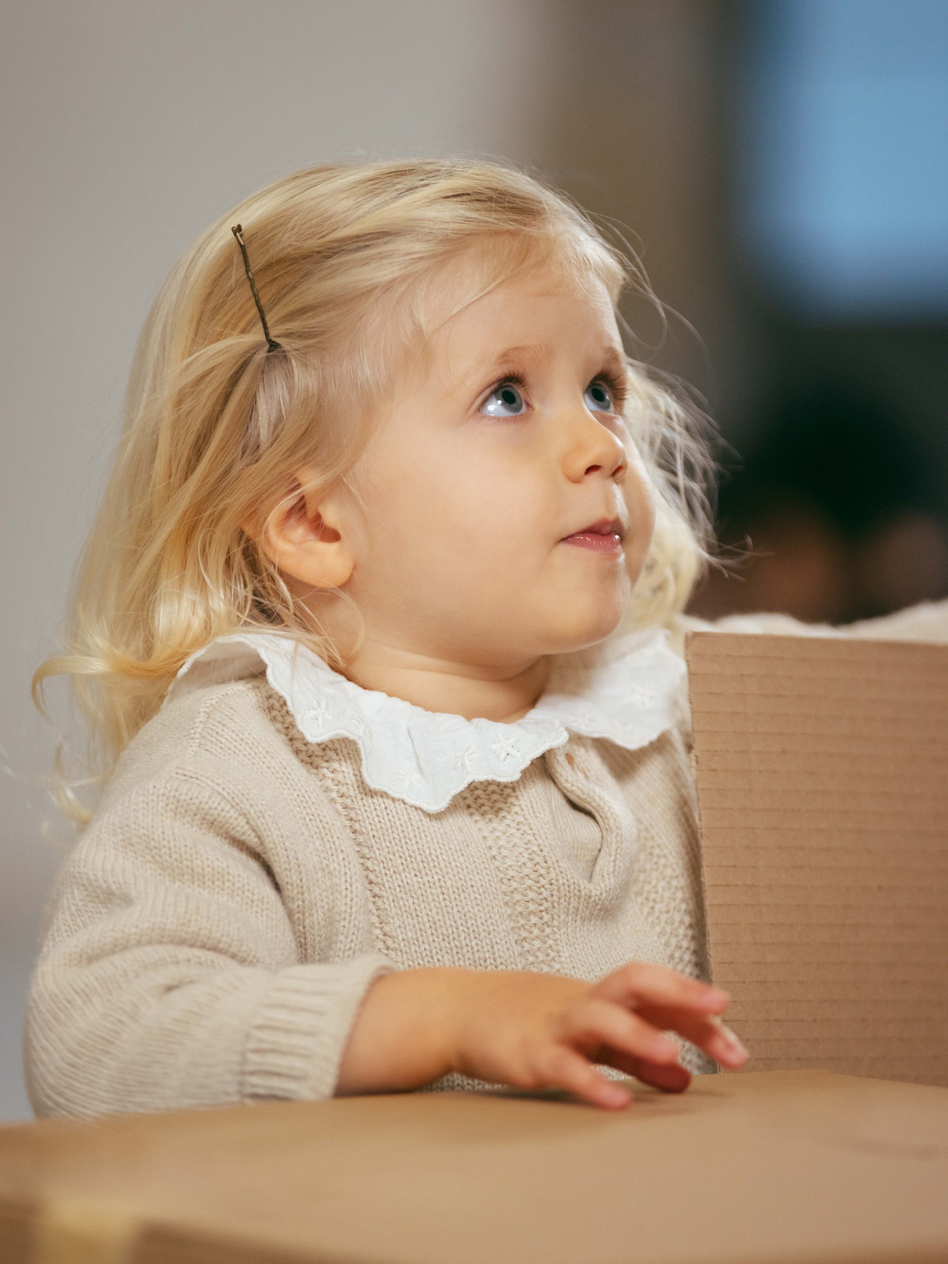 Muslin blouse with embroidered ruffled collar
