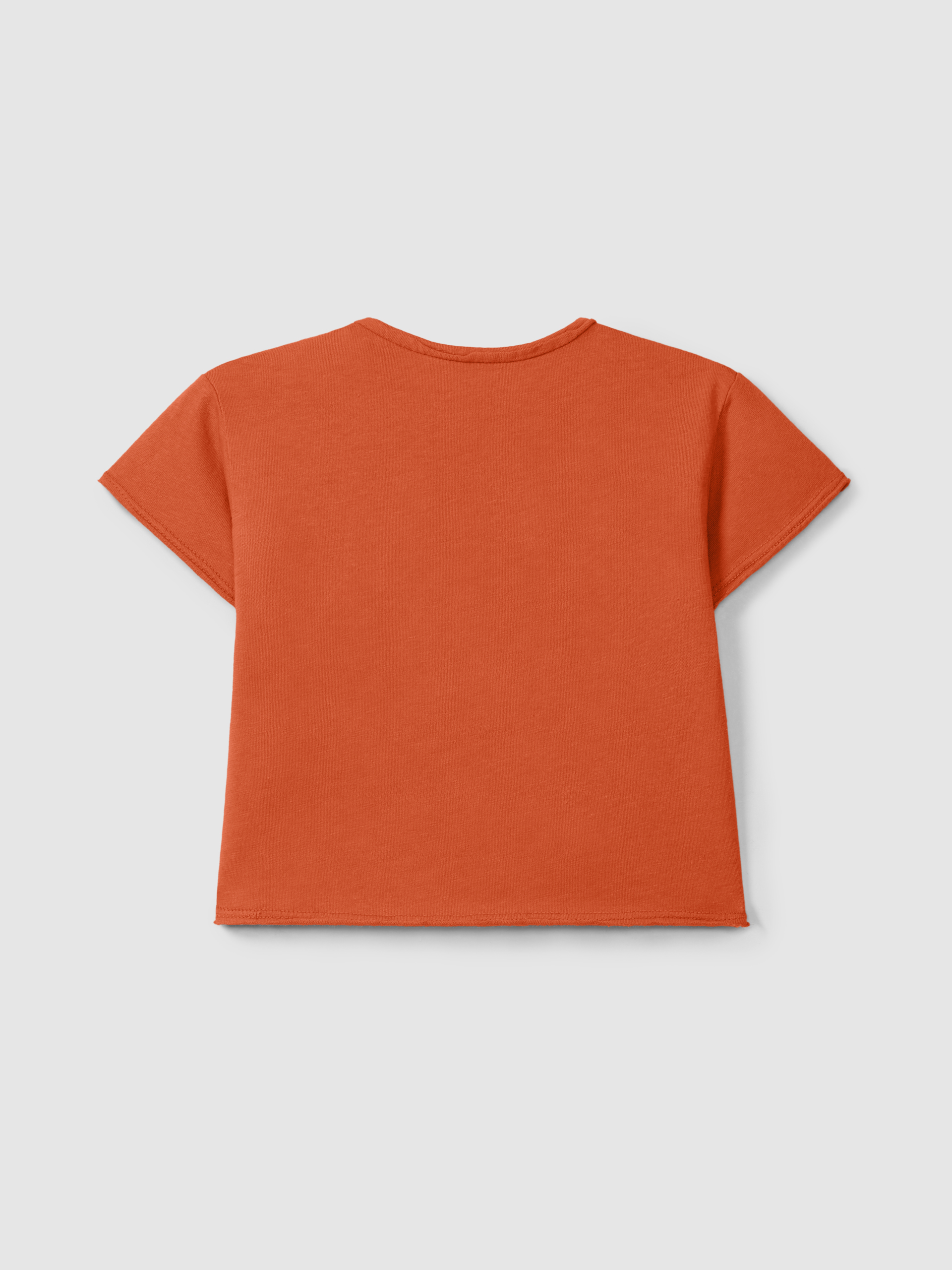 T-shirt with embroidery