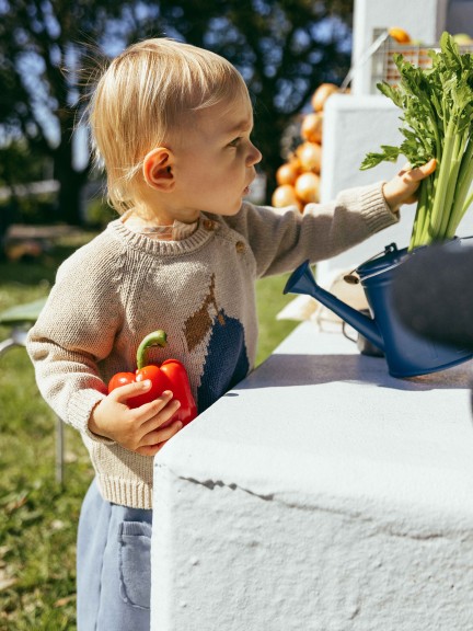 Jacquard round neckline jumper