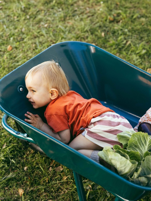 Pull-up shorts striped with pocket