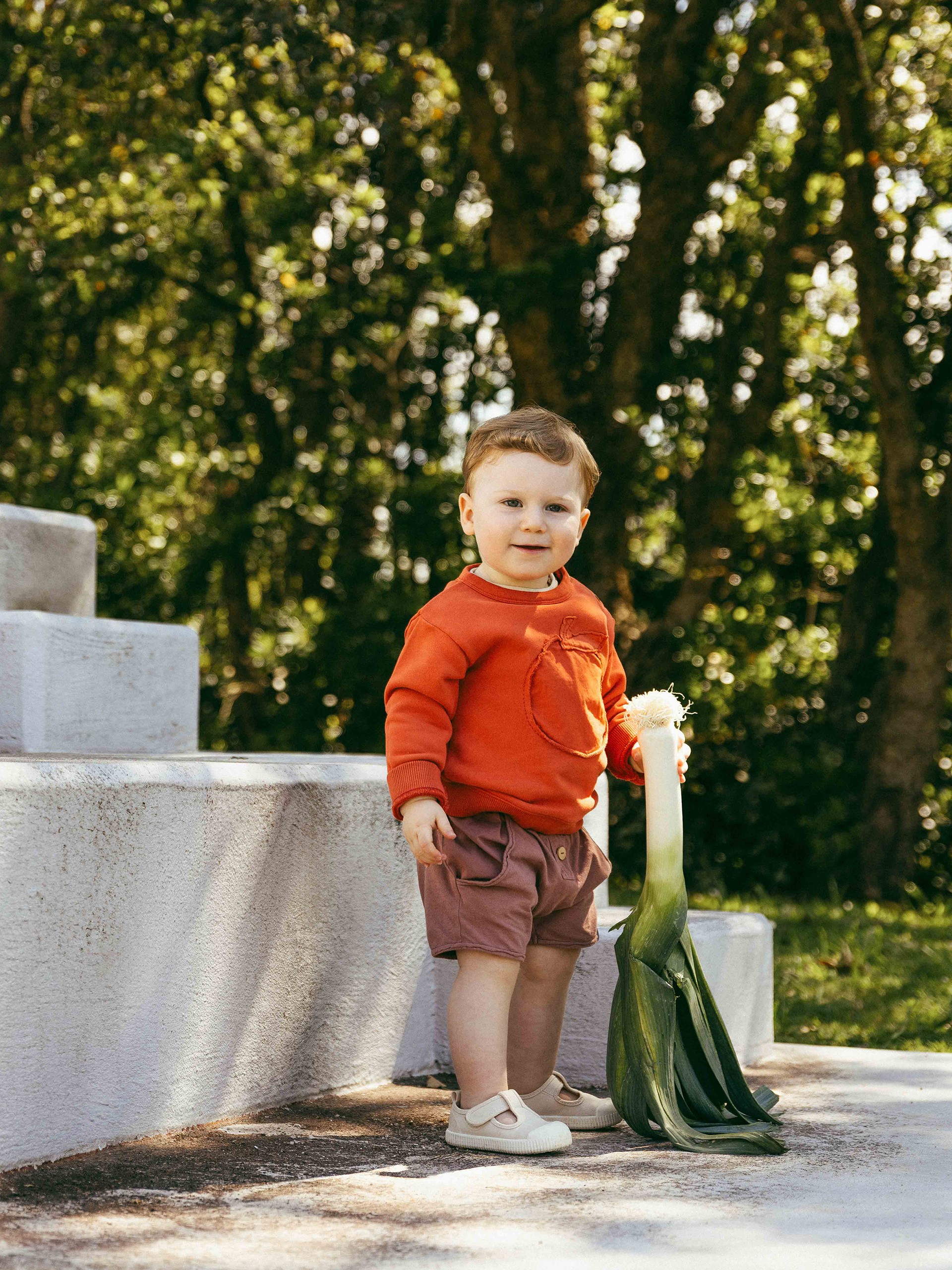 Pull-up shorts in plain jersey