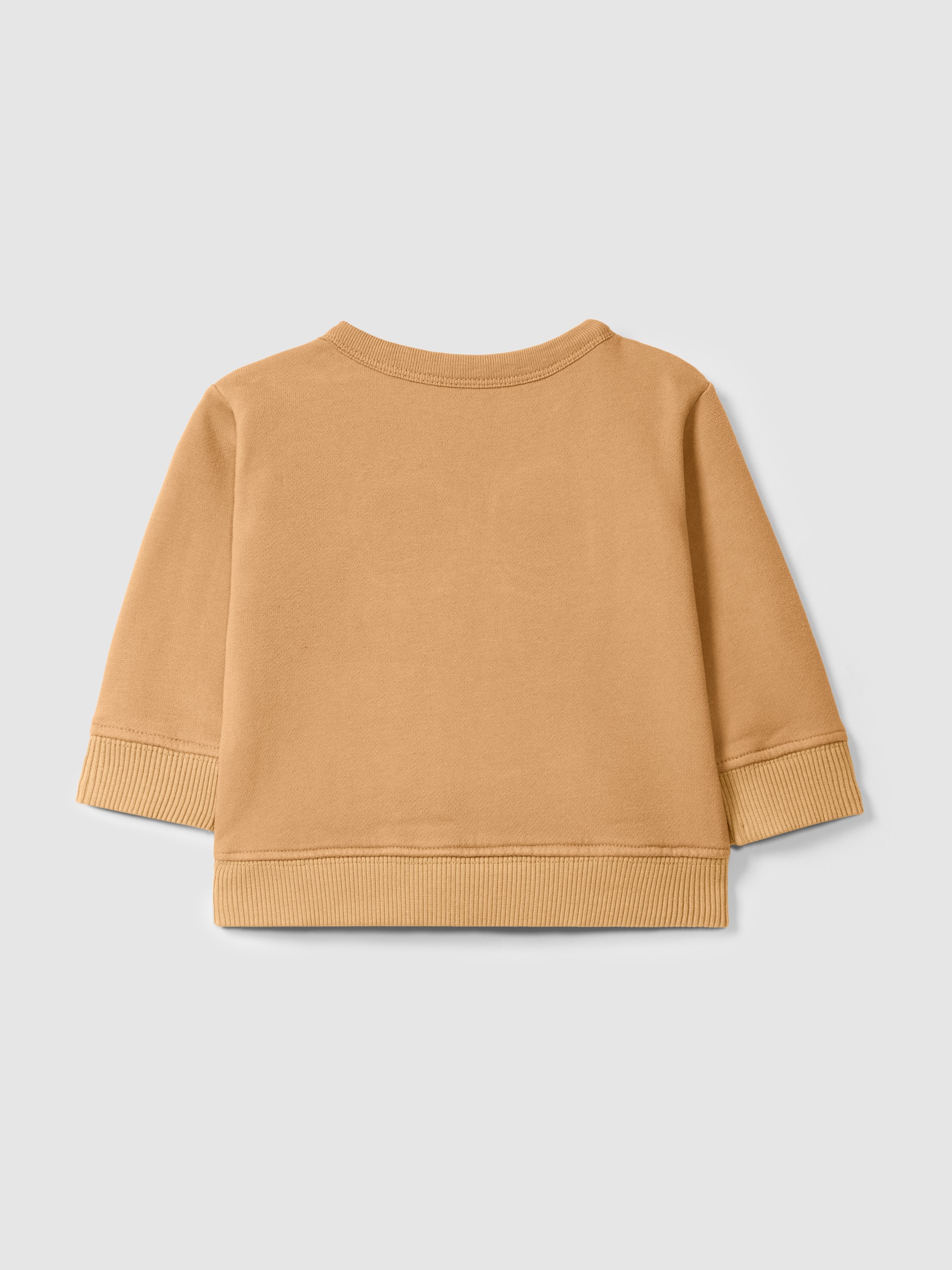 Plush sweatshirt