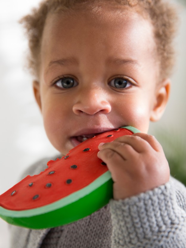 Wally the Watermelon Baby Teether Oli&Carol Wally the Watermelon Baby Teether Oli&Carol