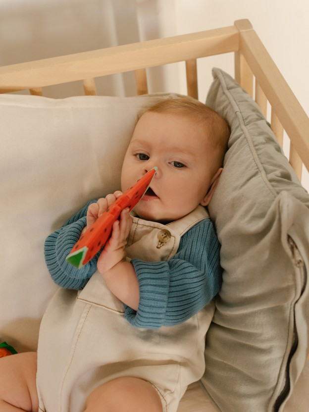 Wally the Watermelon Baby Teether Oli&Carol Wally the Watermelon Baby Teether Oli&Carol