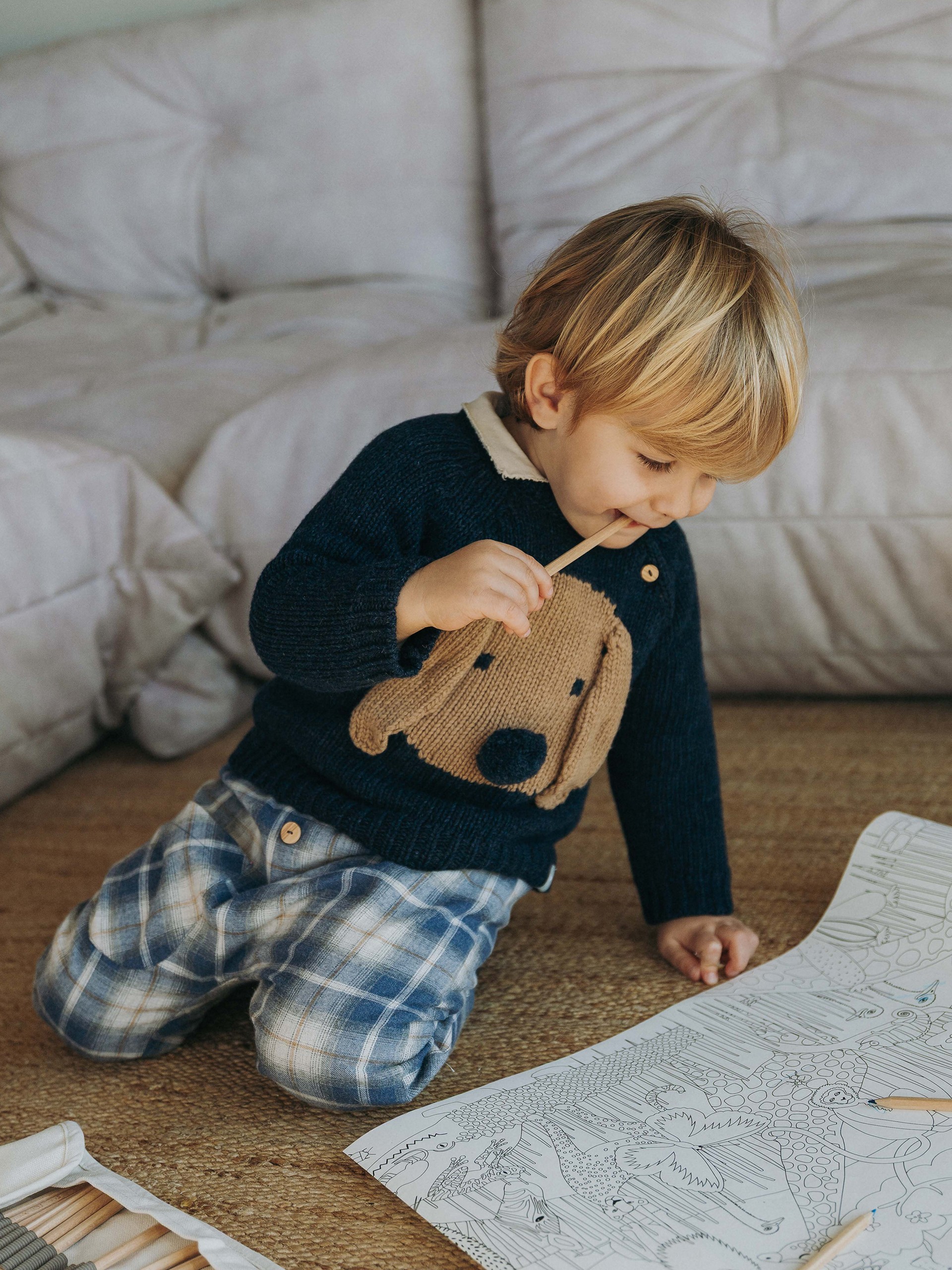 Knitted jumper jacquard dog with embossed details